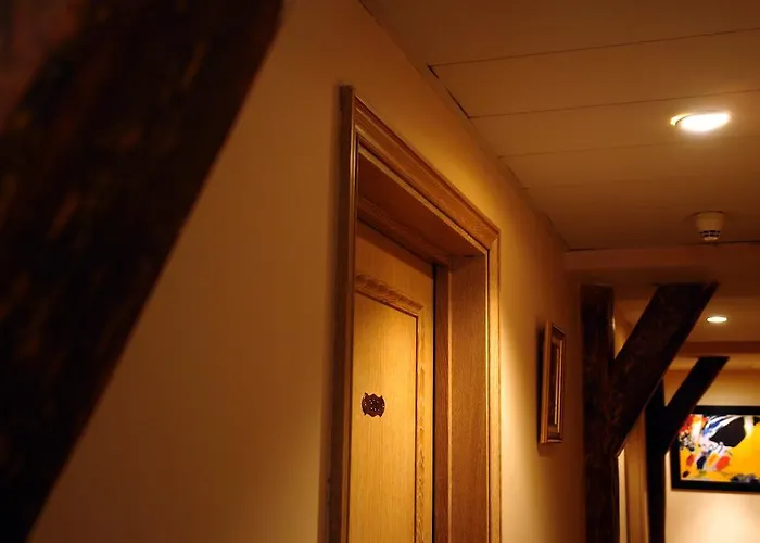 Cardinal Rive Gauche